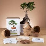 Grow it- bonsai